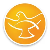 Mission partner